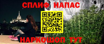стаф Гусев