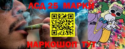 прущие грибы Гусь-Хрустальный