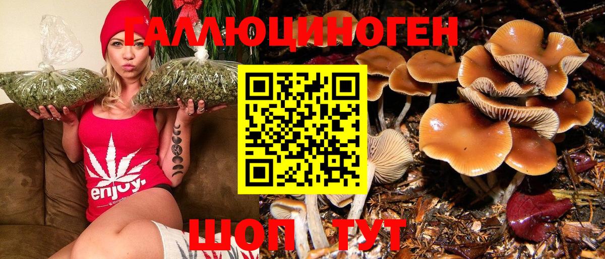 Псилоцибиновые грибы Psilocybe  Вход с VPN  Нововоронеж 