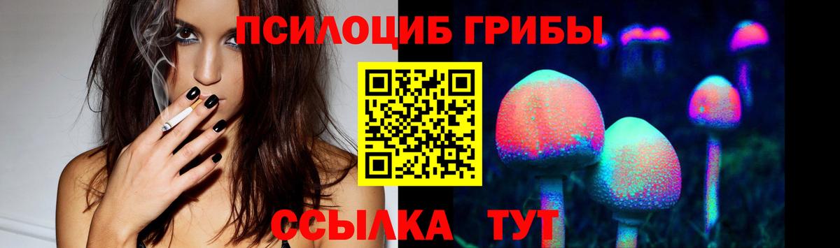 Псилоцибиновые грибы мицелий Нововоронеж