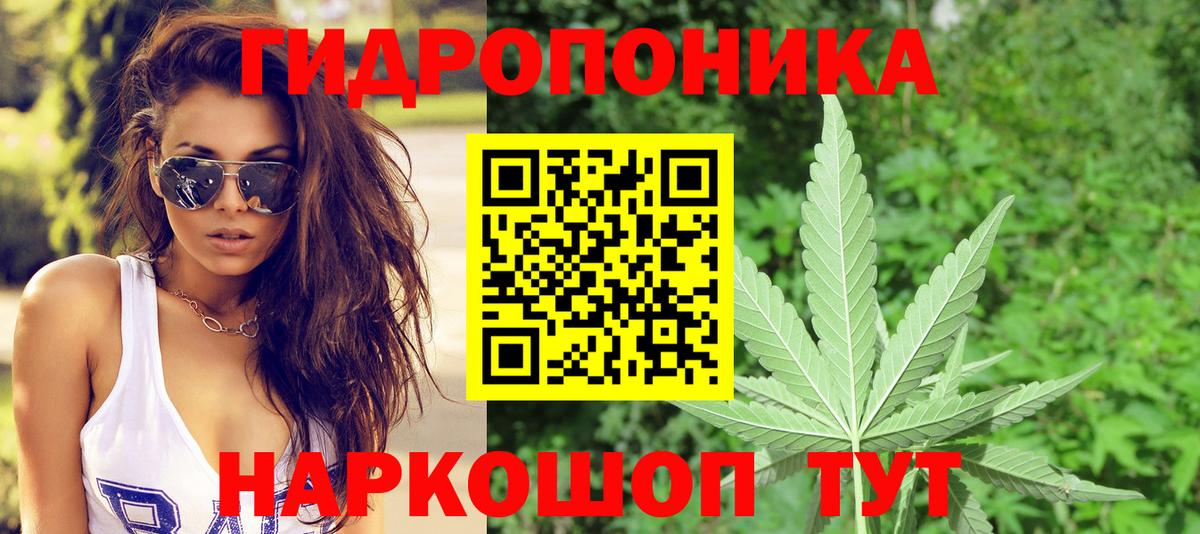 Бошки марихуана конопля  МАРИХУАНА THC 21%  Нововоронеж  Марихуана индика  Вход с VPN 