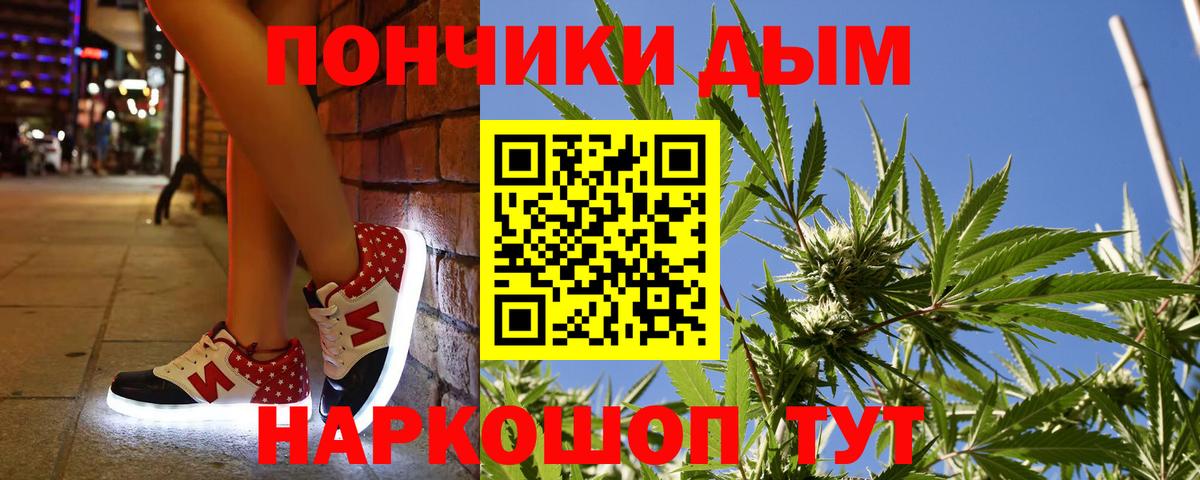 Бошки Шишки сатива Нововоронеж